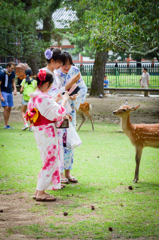 手に持ってる鹿せんべい　ください