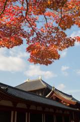 東大寺にて