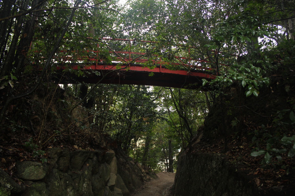 渡りたくなる橋