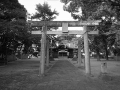 鳥居を越えて