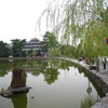 猿沢池