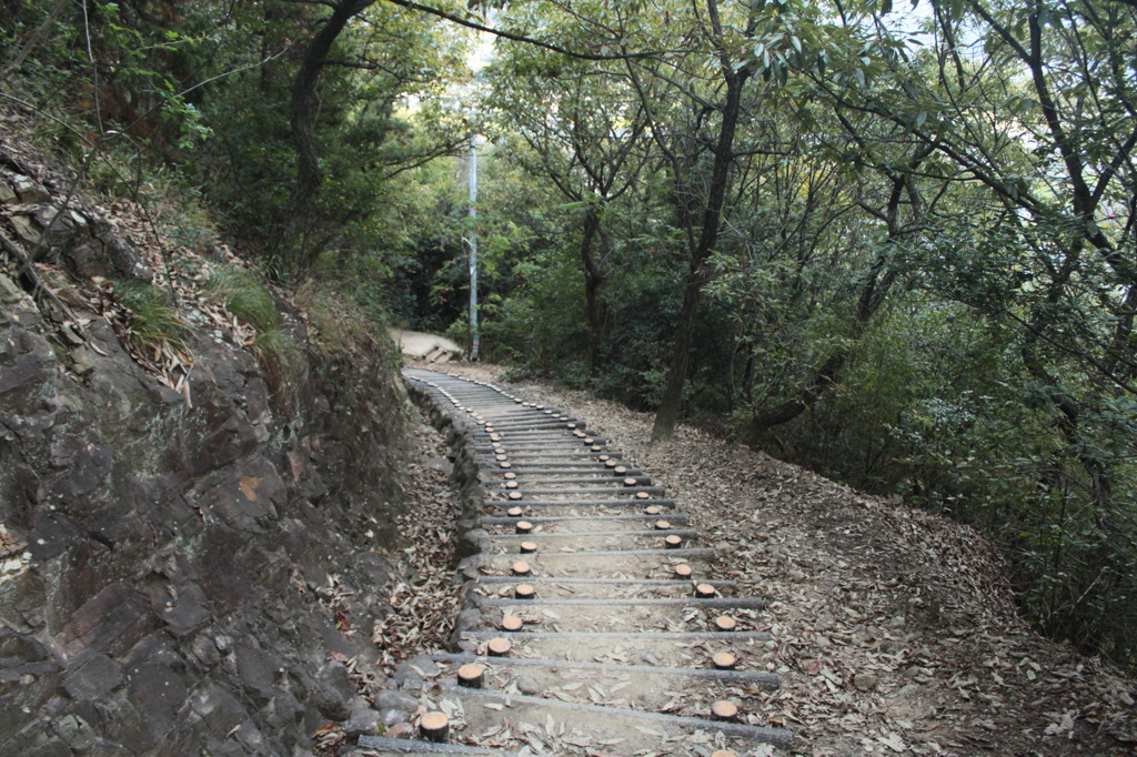 山道　壱