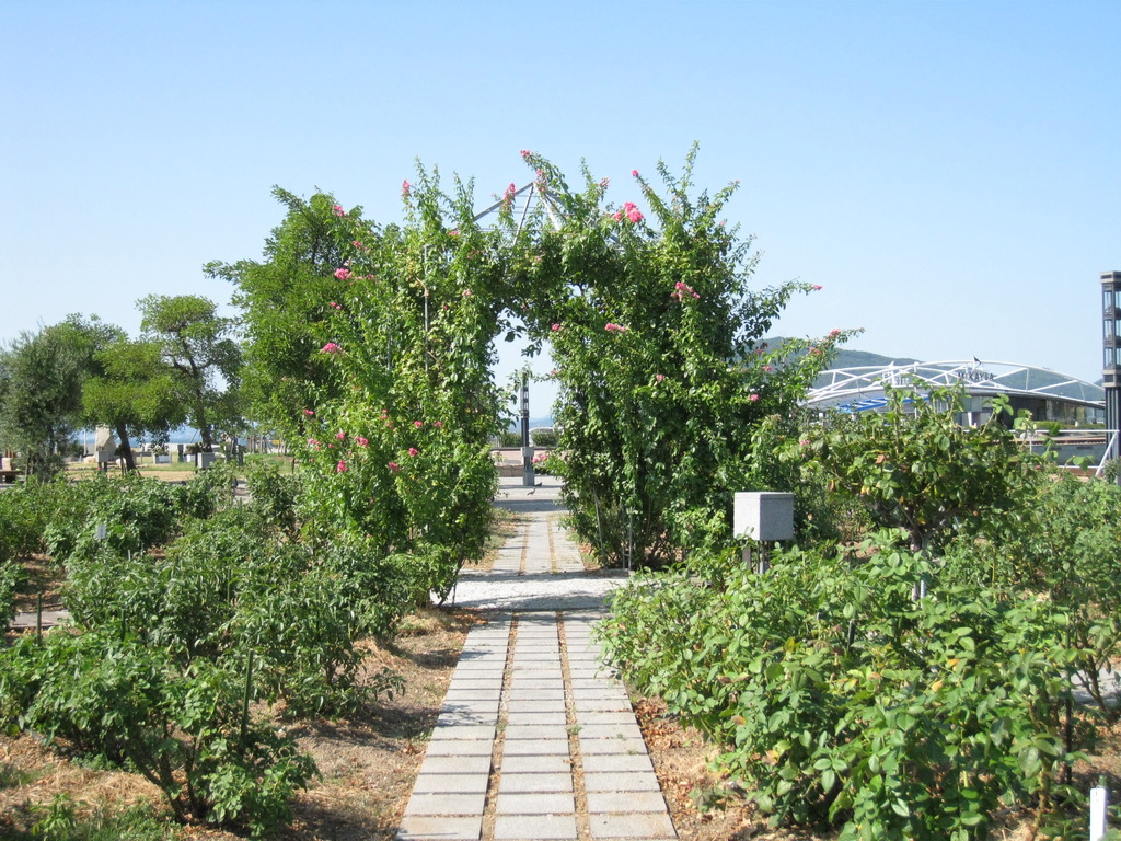 花の道