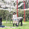 花見風情　家族