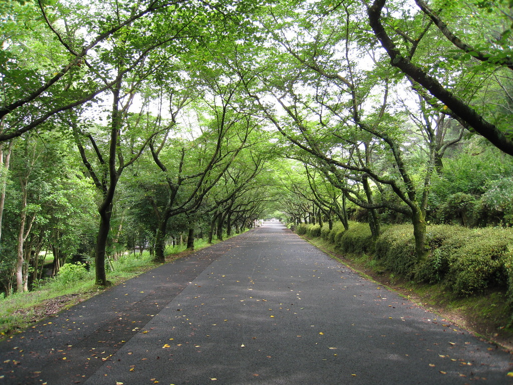 果てしないトンネル