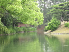 木と池の間に