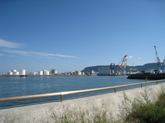 北浜アリー