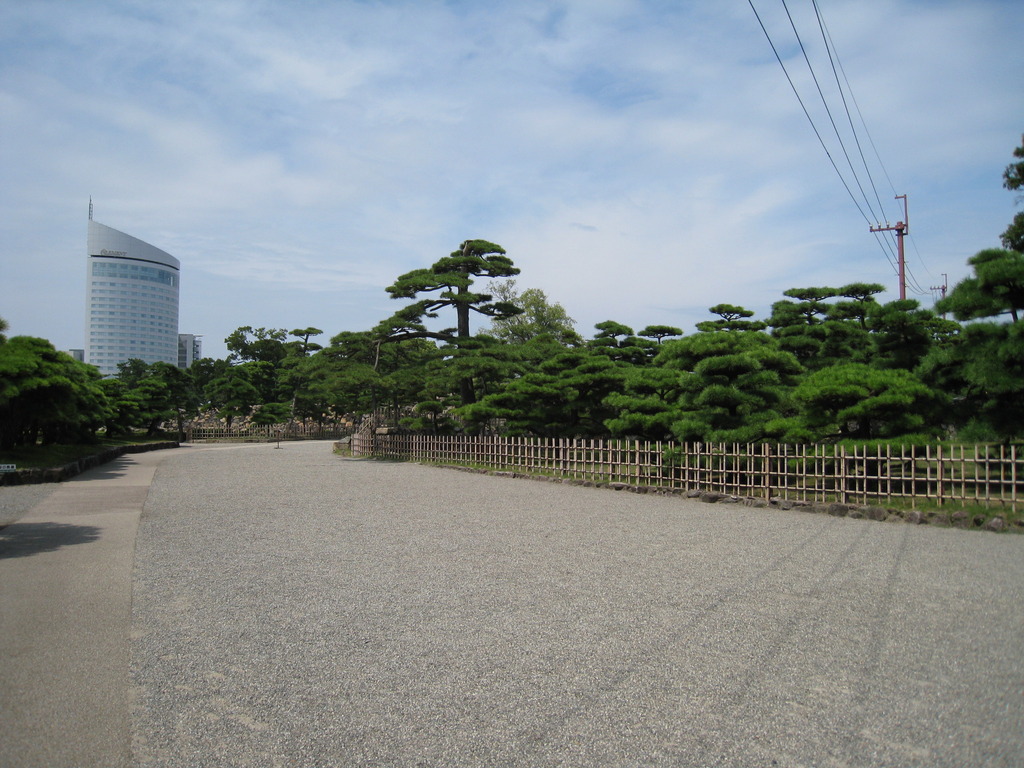 ビルと松林