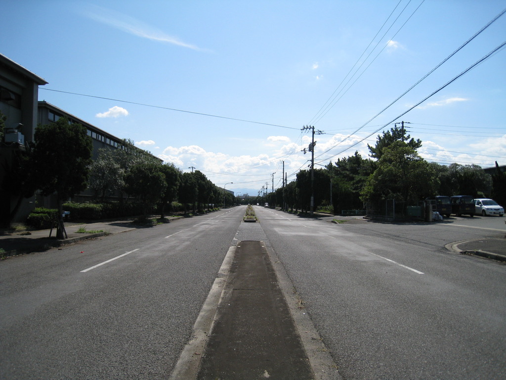 休日の卸センター通り