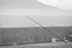 釣り人待ち
