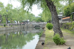 川面に映る橋