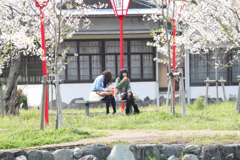 二人の花見