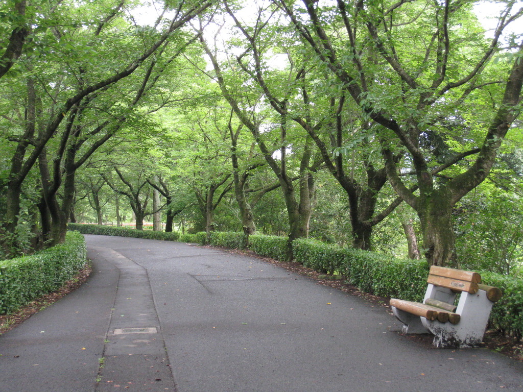 緑街道