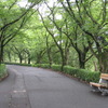 緑街道