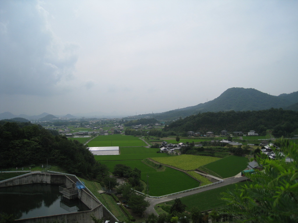 見下ろす田園