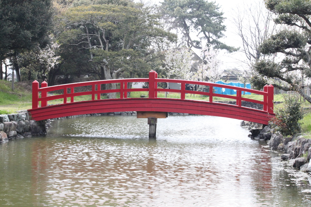 花見風情　赤橋