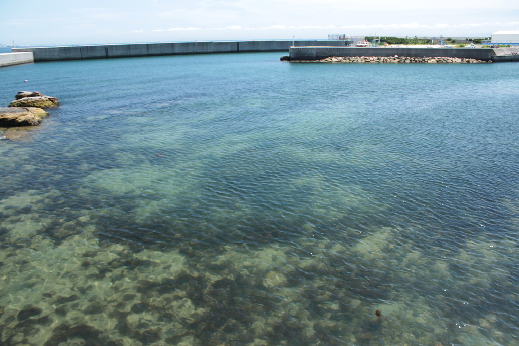 透き通る淡路の海