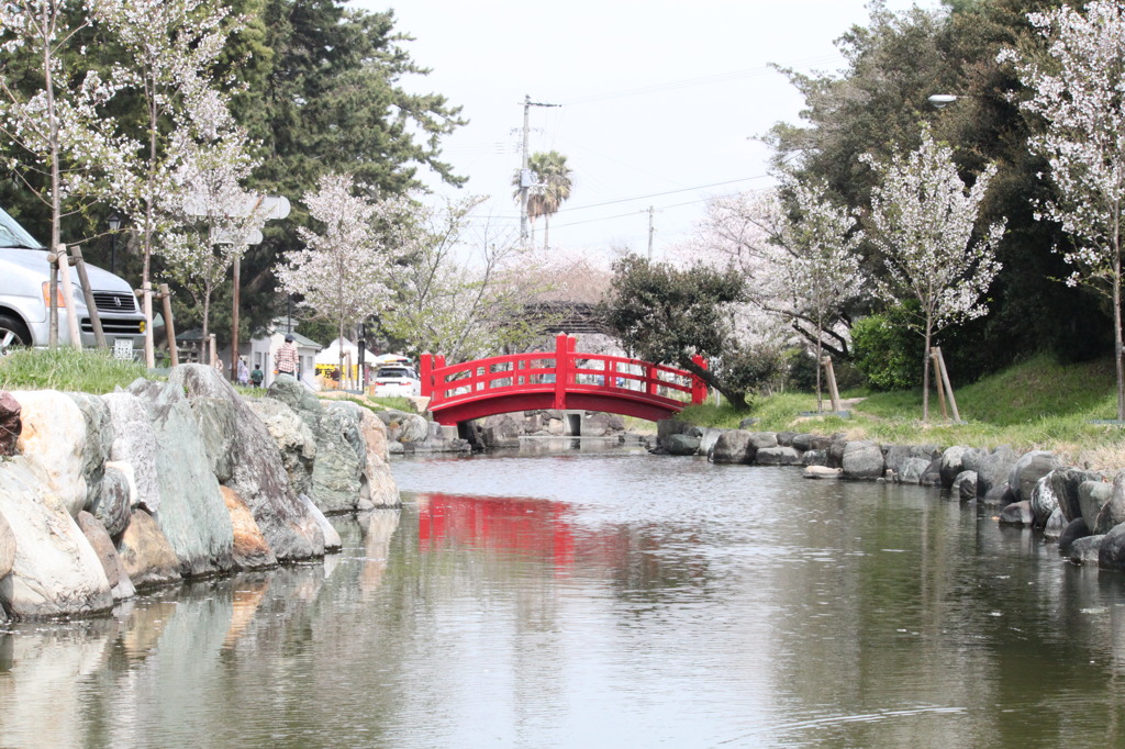 花見風情　川