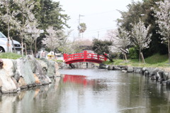 花見風情　川