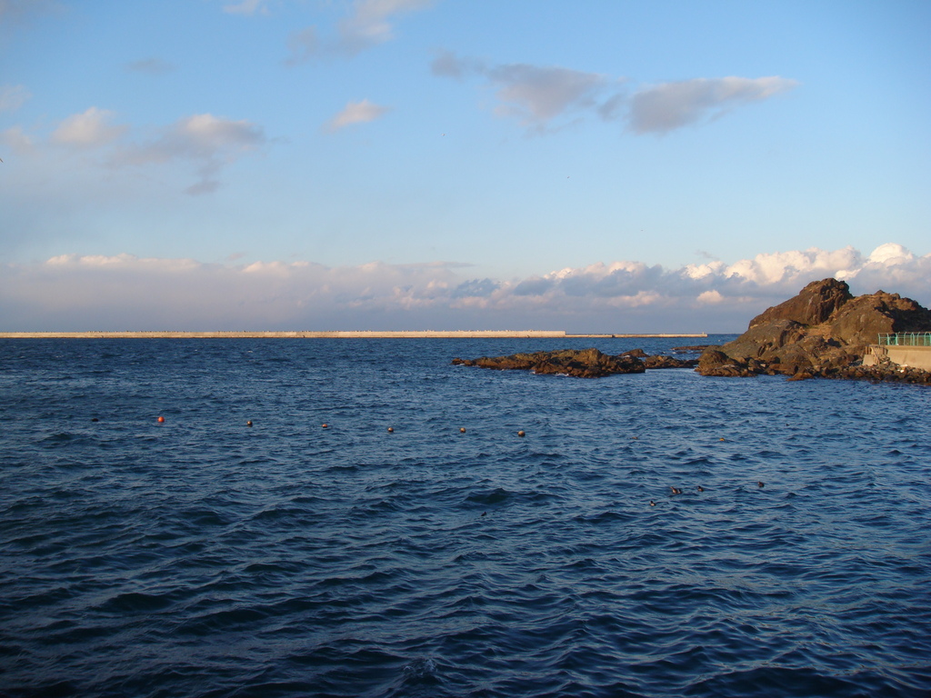 蕪島