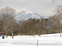 小岩井農場