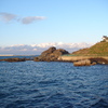 蕪島