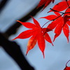岩手山麓