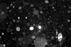 雪