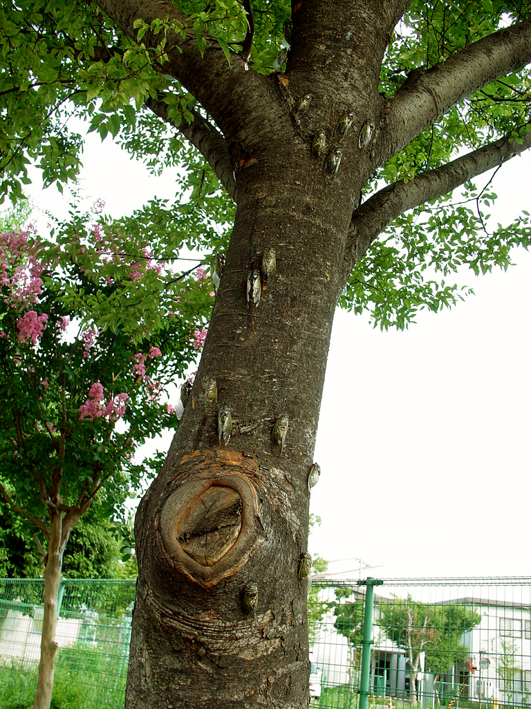 20050730-038