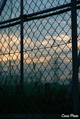 野球練習場