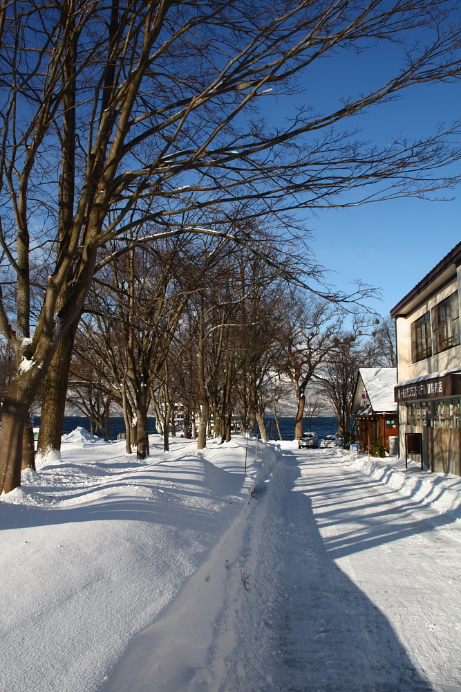 雪の道