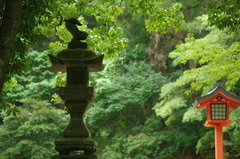 踊る獅子