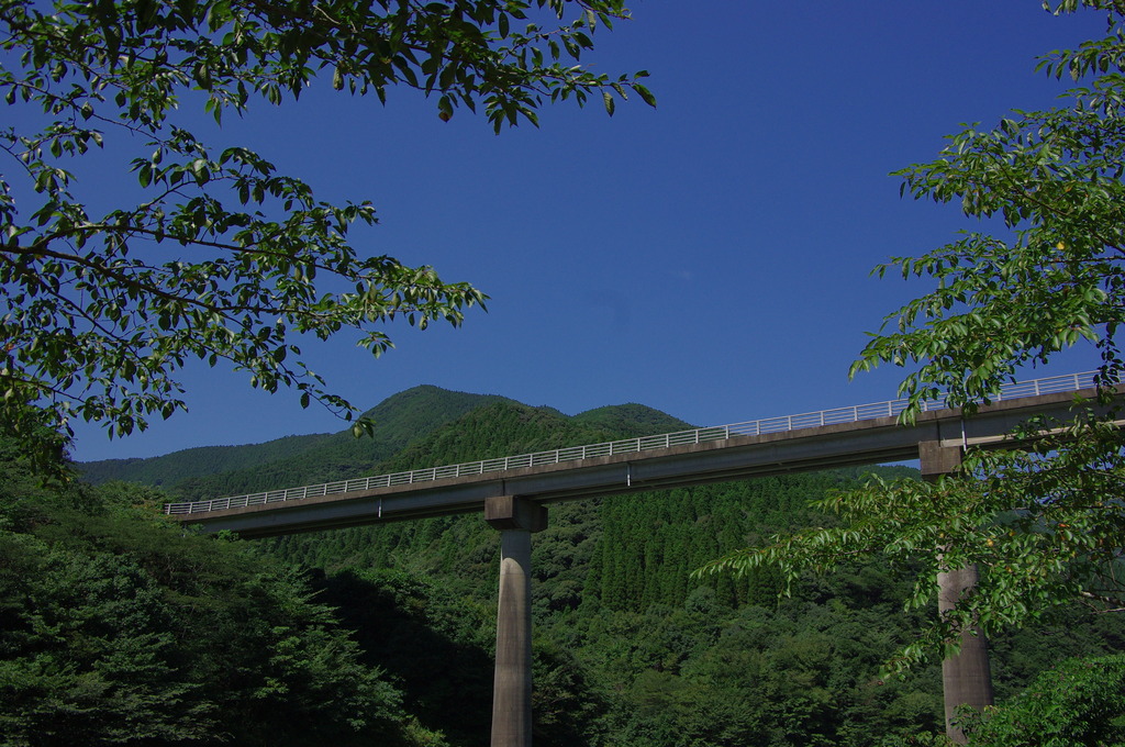 架け橋
