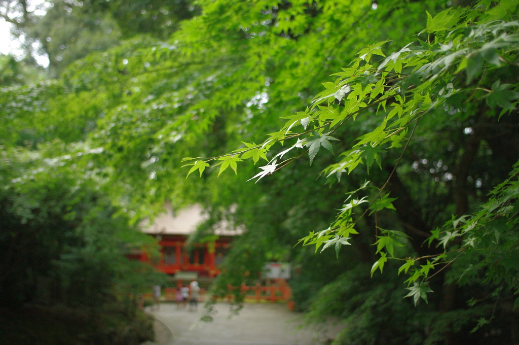 親子でお参り