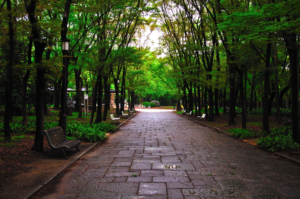 散歩道