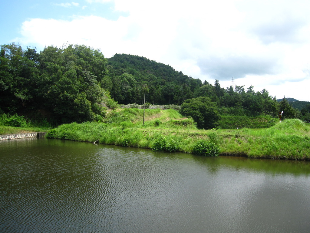 夏池