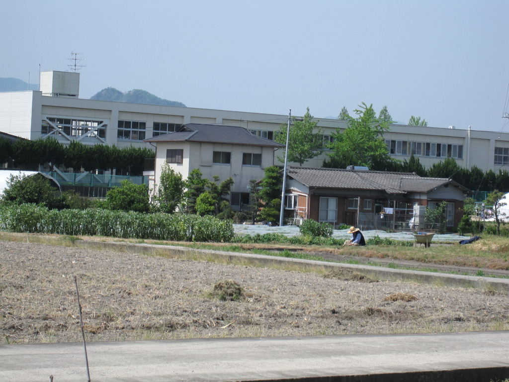 夏休みの学校