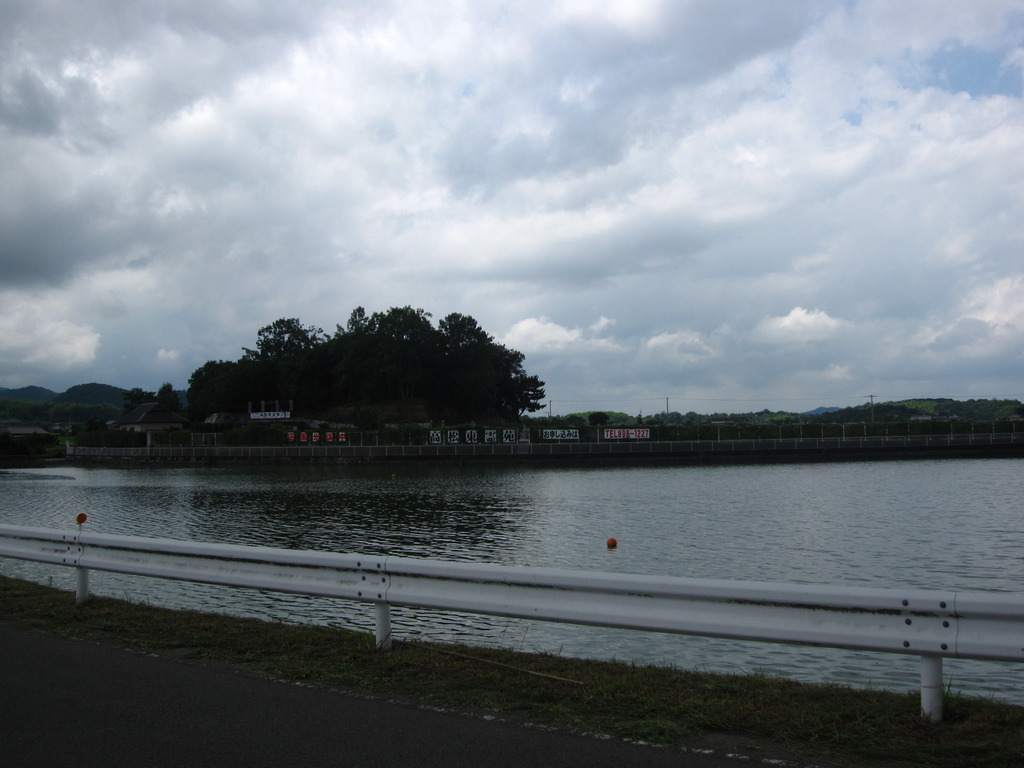 池に浮かぶ森