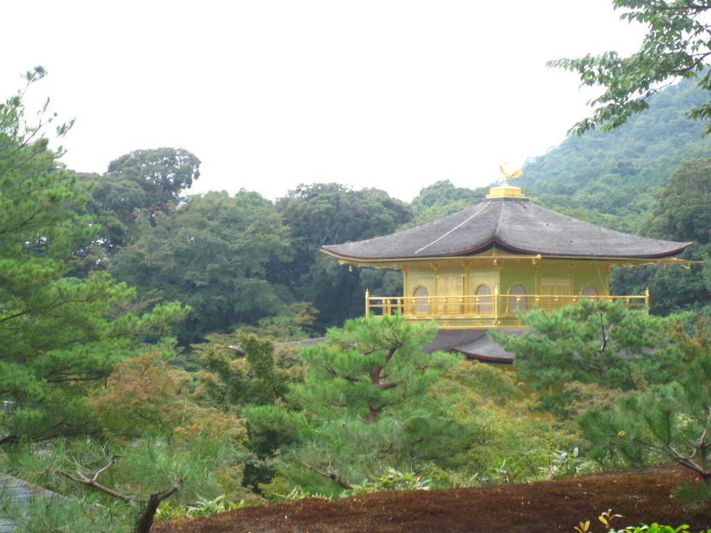 晴れたからもう一枚