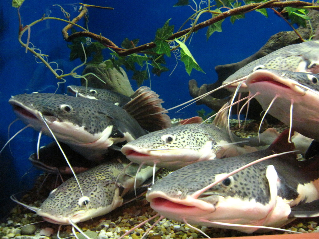 ちょっち気味悪いかも