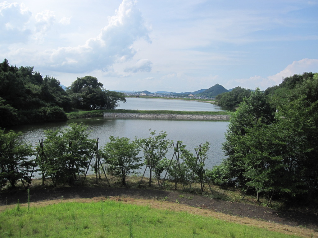 川のような池