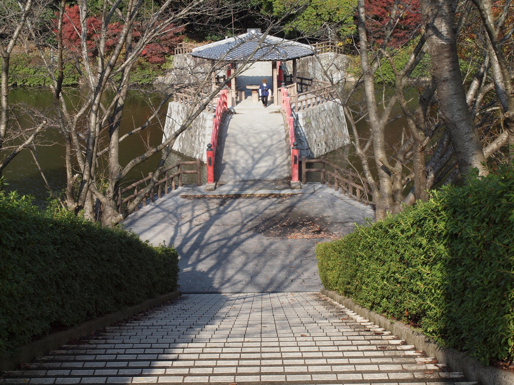 近所の公園風景