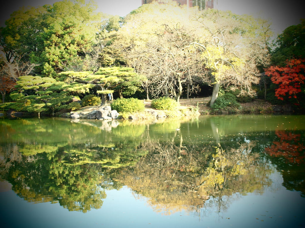 池にうつる秋
