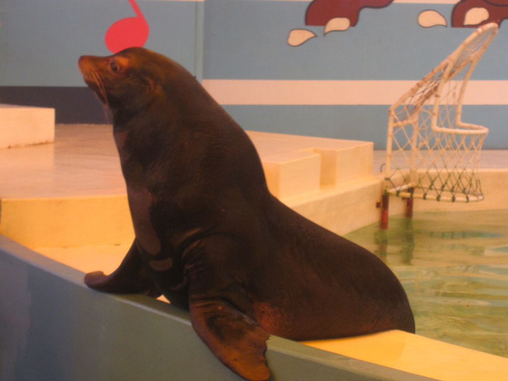 アンヌちゃん　（だったと思う）」