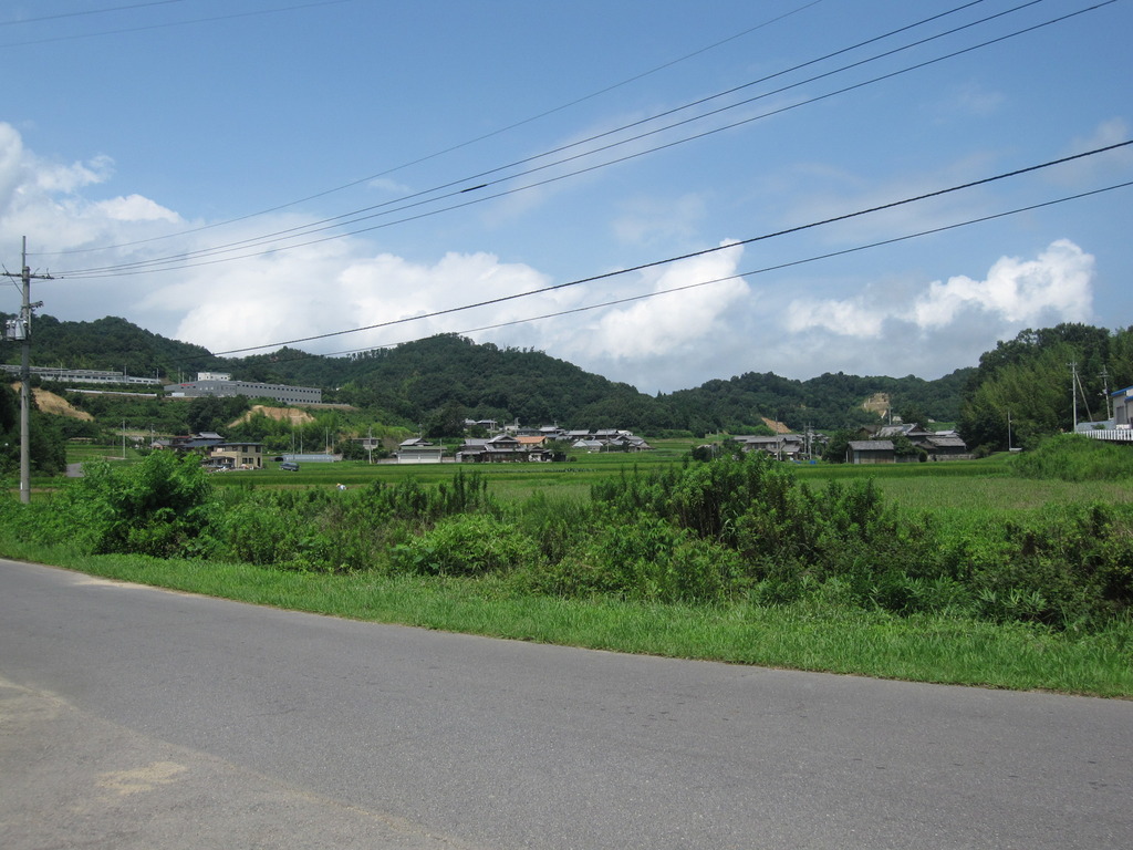 夏の道