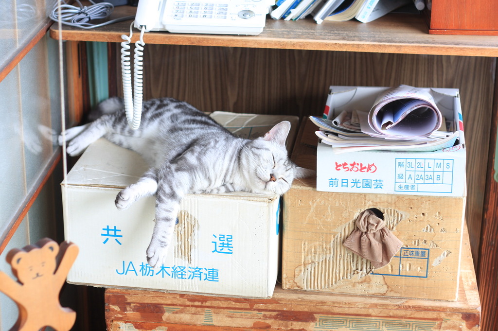 お気に入りの場所