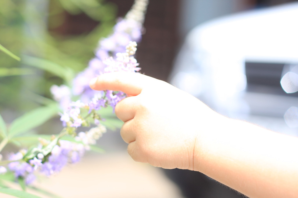 花と手