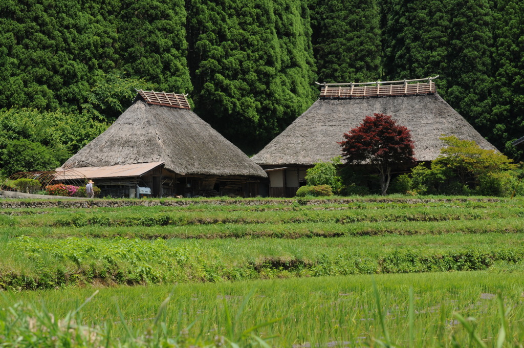 日本の風景