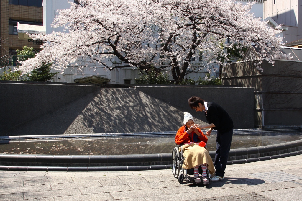 さくらがある風景1