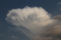 数の子雲